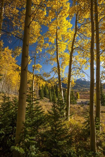 USA, Colorado Landscape in San Juan Mountains